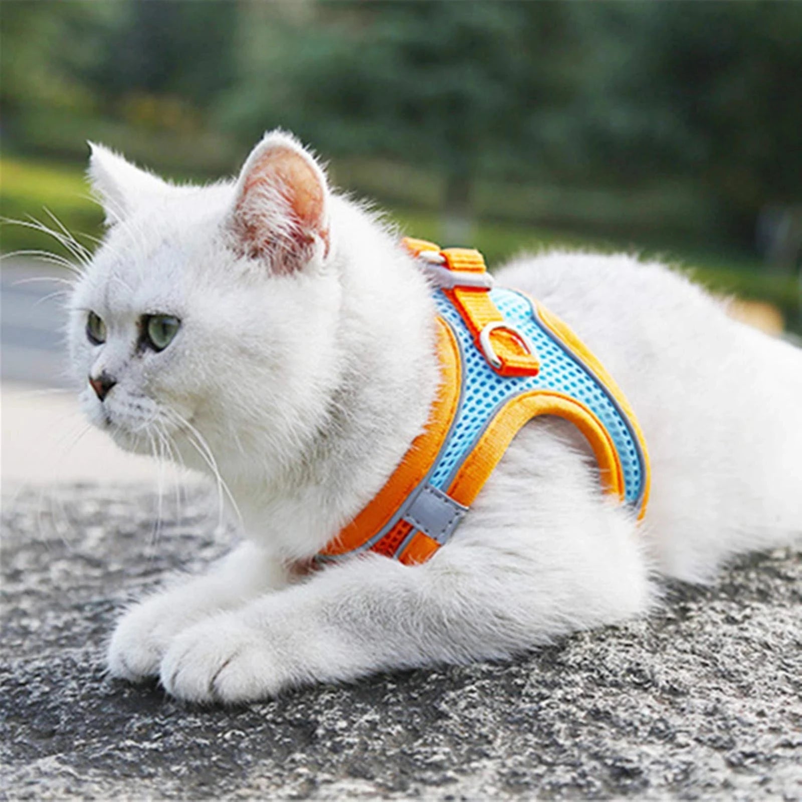 Reflective Cat Harness Set